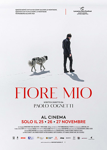 13locandinafioremio