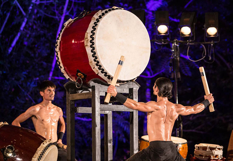 27GIARDINI RADICI TAIKO ELETTRA1