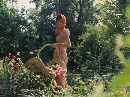 6.Audreygiardino16