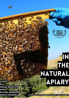 8apiario naturale locandina