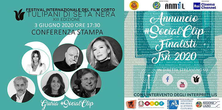 25tulipanisetanera 1