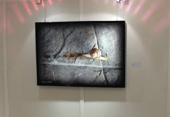 quadroviaggiorobymonaco12.gif quadroviaggiorobymonaco12.gif